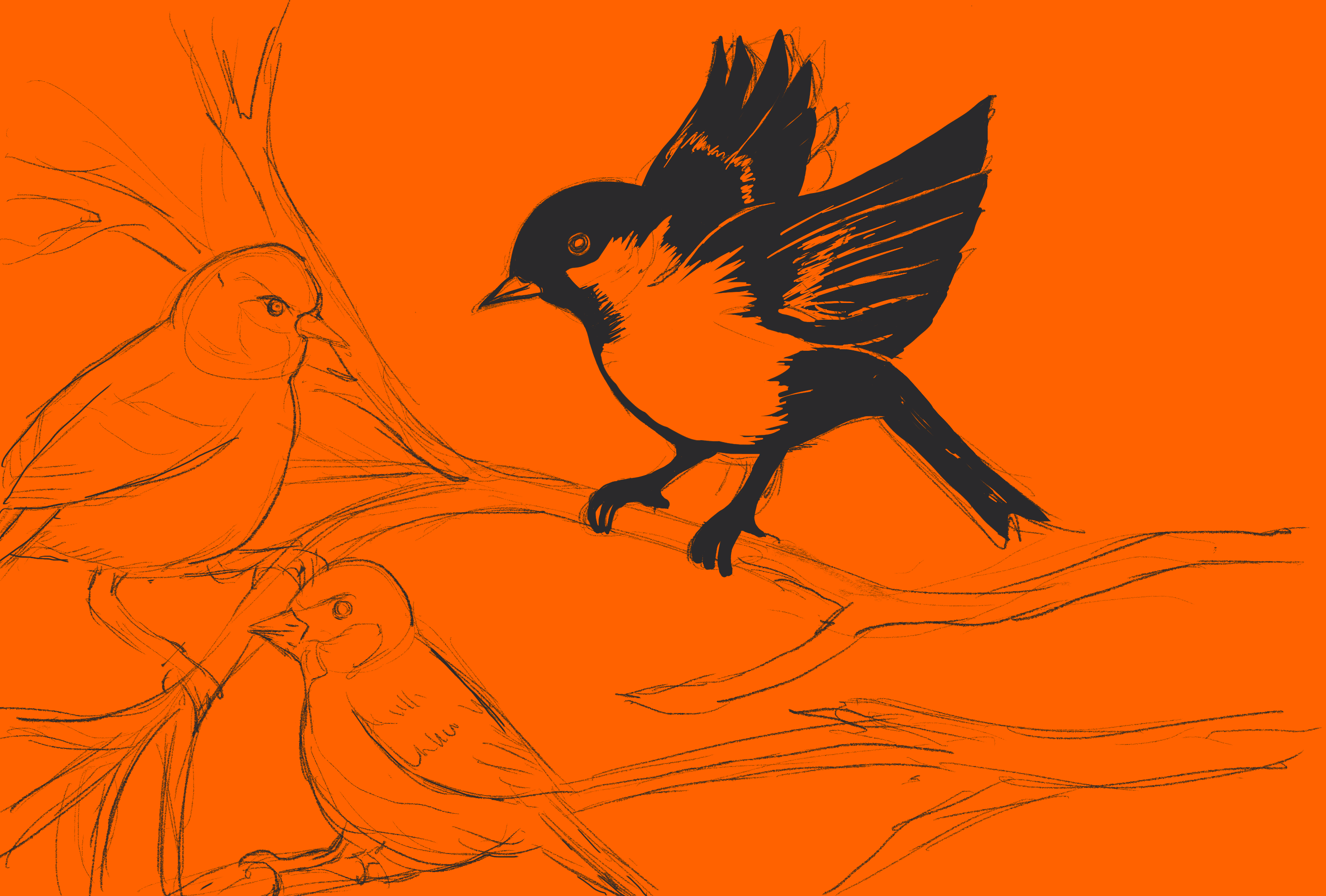 Art Process - More Than Sparrows
